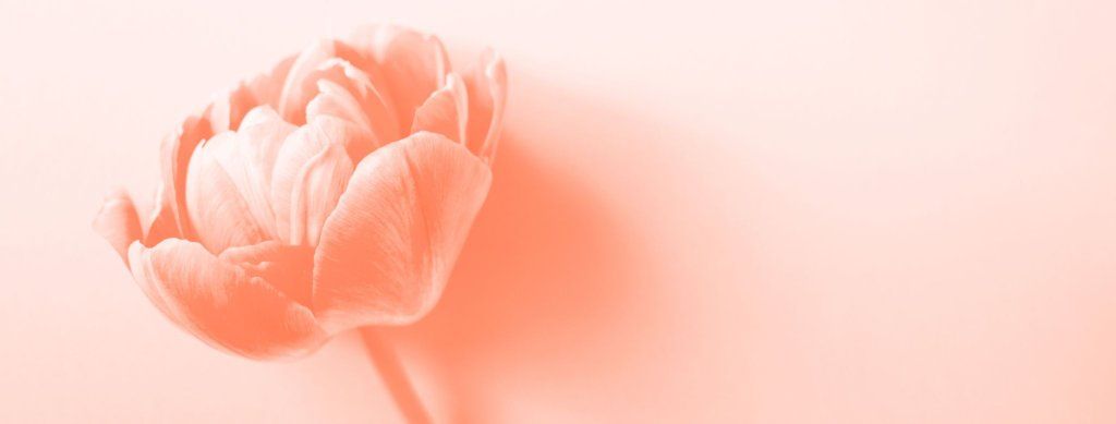 Le Corail : Une Couleur Pétillante et Apaisante pour la Chambre de Votre Enfant 